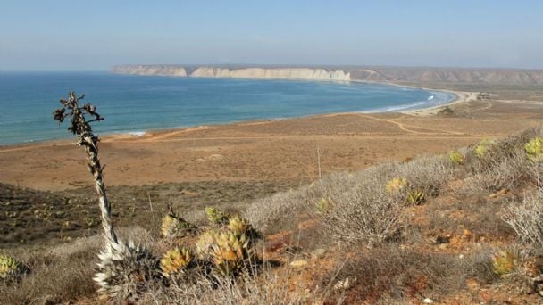 “La ONU advierte que megaproyectos de gas en el Golfo de California podrían poner en riesgo a millones de personas”