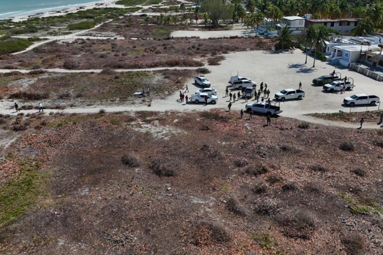 El boom inmobiliario borra manglares y playas en México: alertan devastación ambiental en zonas costeras
