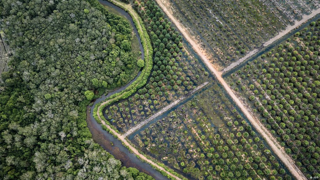 Europa flexibiliza controles ambientales y se diluye el Pacto Verde en plena presión política