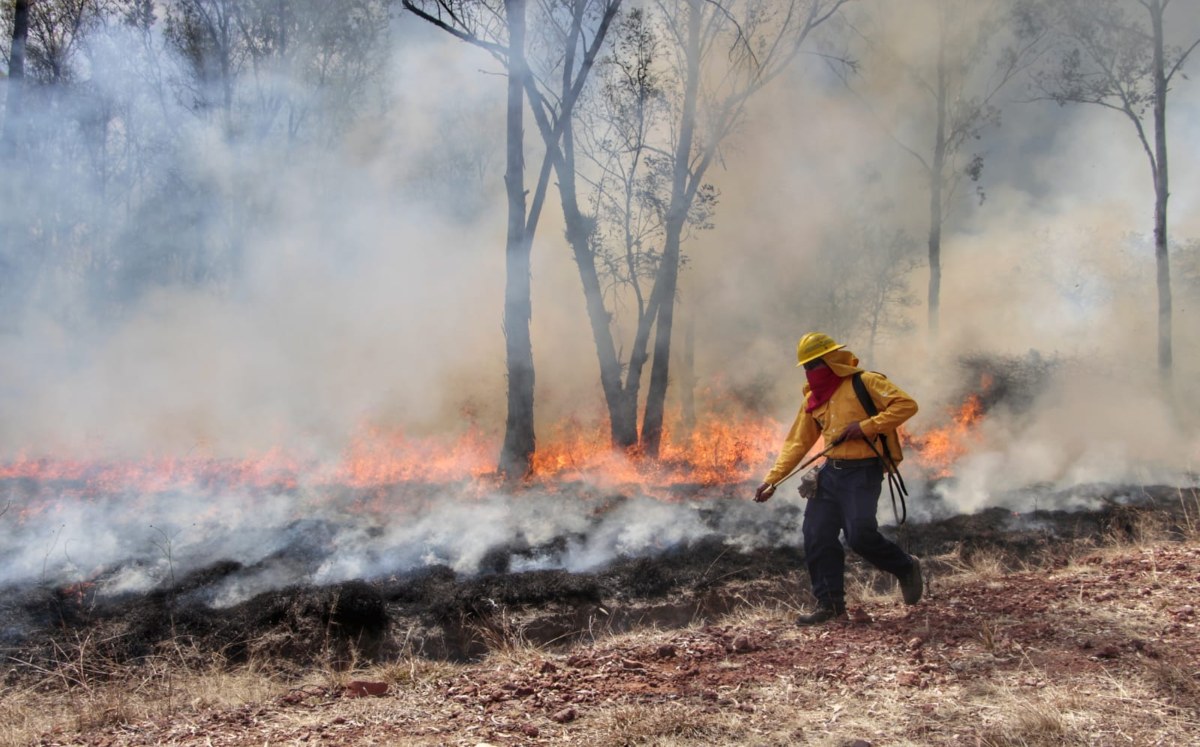 Puebla se mantiene por debajo de la media nacional en incendios forestales, reporta Medio Ambiente