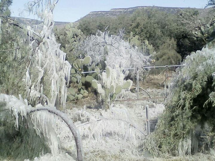 PRONOSTICAN FRÍO DE HASTA CERO GRADOS EN ZONAS SERRANAS DE GUANAJUATO