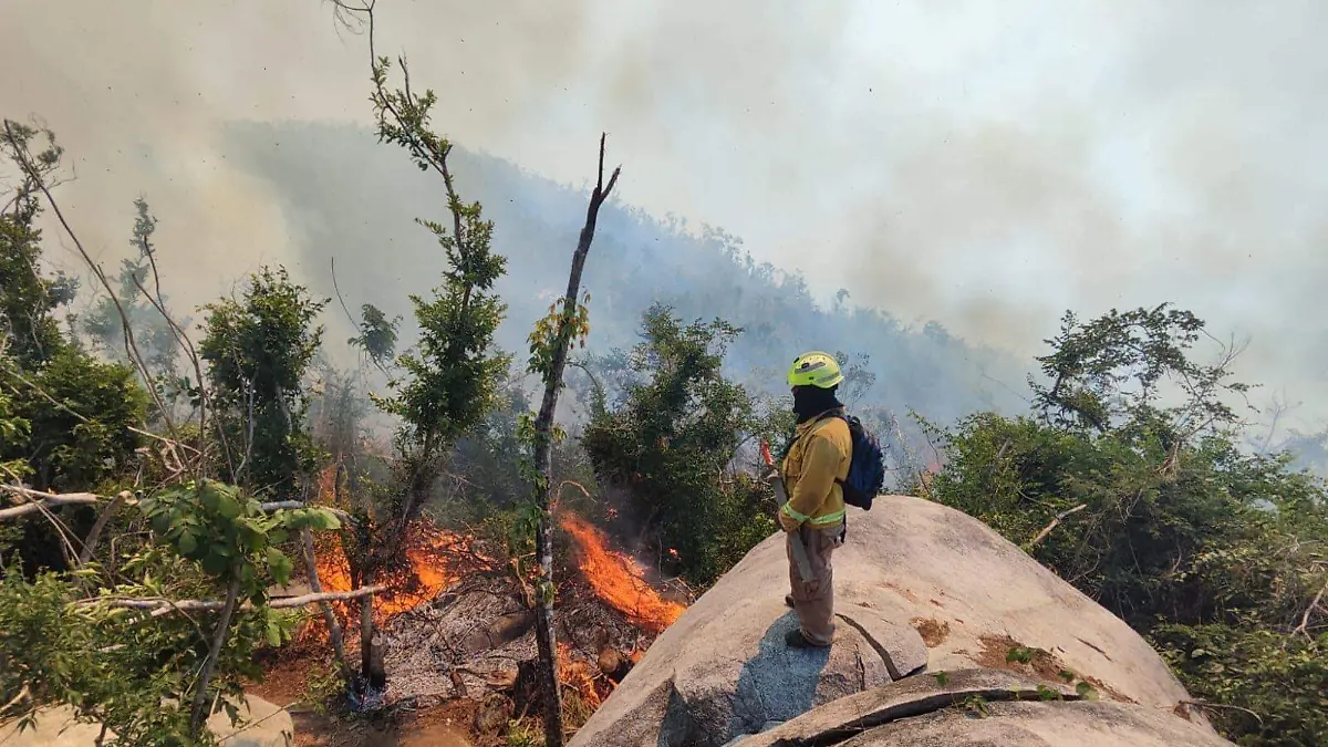 CONAFOR inicia operativo para prevenir incendios forestales en 2026