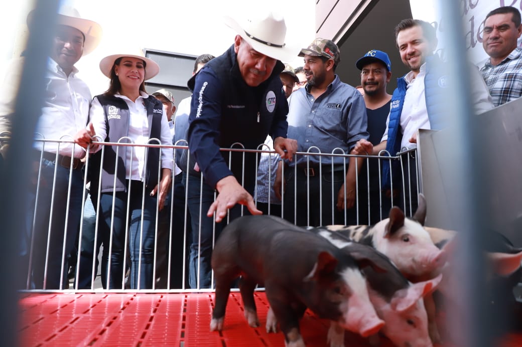 PEÑJAMO SE CONSOLIDA COMO PRINCIPAL PRODUCTOR PORCINO EN GUANAJUATO