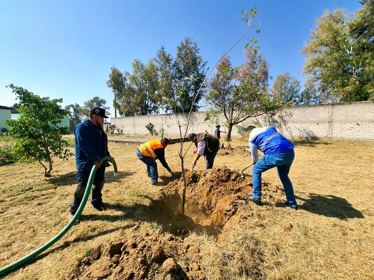 INICIAN PROGRAMA DE REFORESTACIÓN EN CASA HOGAR DE SILAO