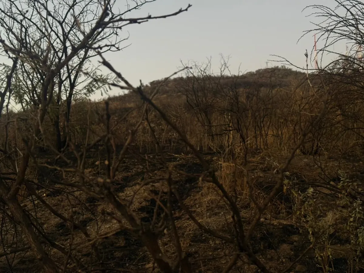 CERRO GORDO MUESTRA ESTRAGOS TRAS INCENDIOS AL NORTE DE LEÓN