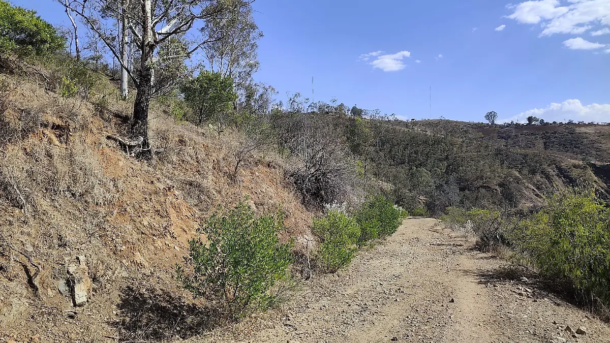 CARRERAS CICLISTAS EN GUANAJUATO SE REALIZAN BAJO NUEVAS REGLAS AMBIENTALES