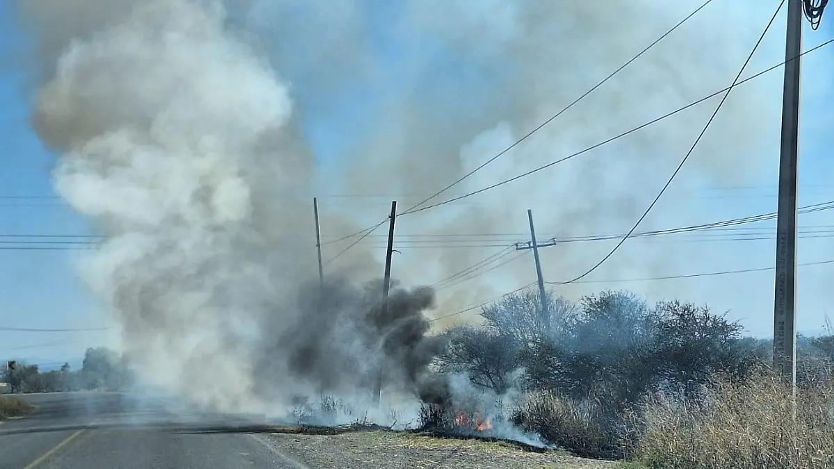 ACCIONES DE PREVENCIÓN CONTRA INCENDIOS FORESTALES EN CUERÁMARO INCLUYEN QUEMAS CONTROLADAS Y LÍNEAS NEGRAS