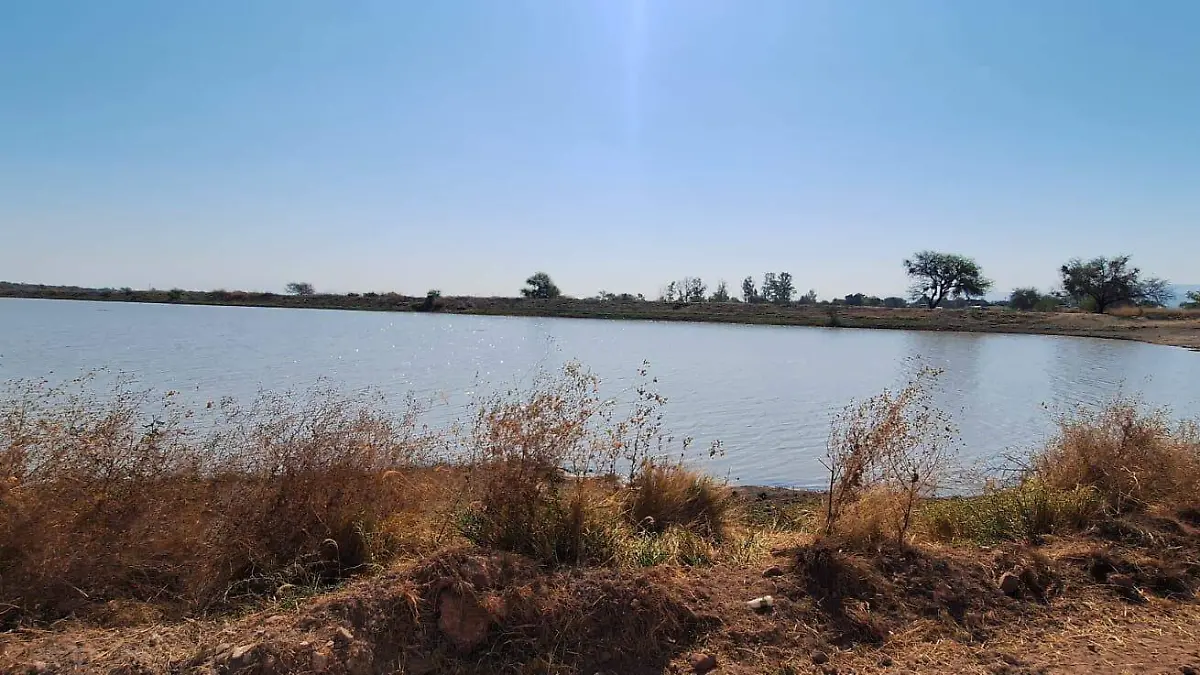 REGRESA LA SEQUÍA A GUANAJUATO, PERO PODRÍA SER MODERADA