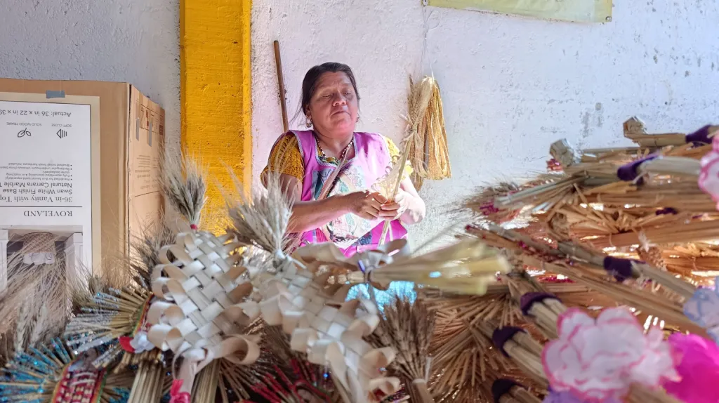 TRADICIÓN PURÉPECHA LLEGA A LEÓN CON PALMAS DE TRIGO HECHAS A MANO