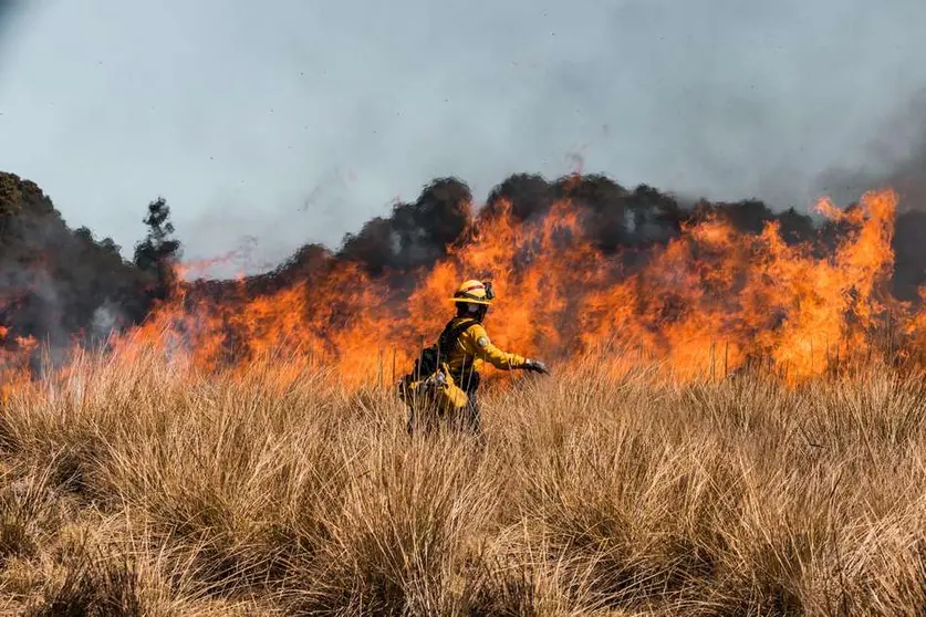 ALERTAN POR RIESGO DE INCENDIOS EN IRAPUATO ANTE ALTAS TEMPERATURAS