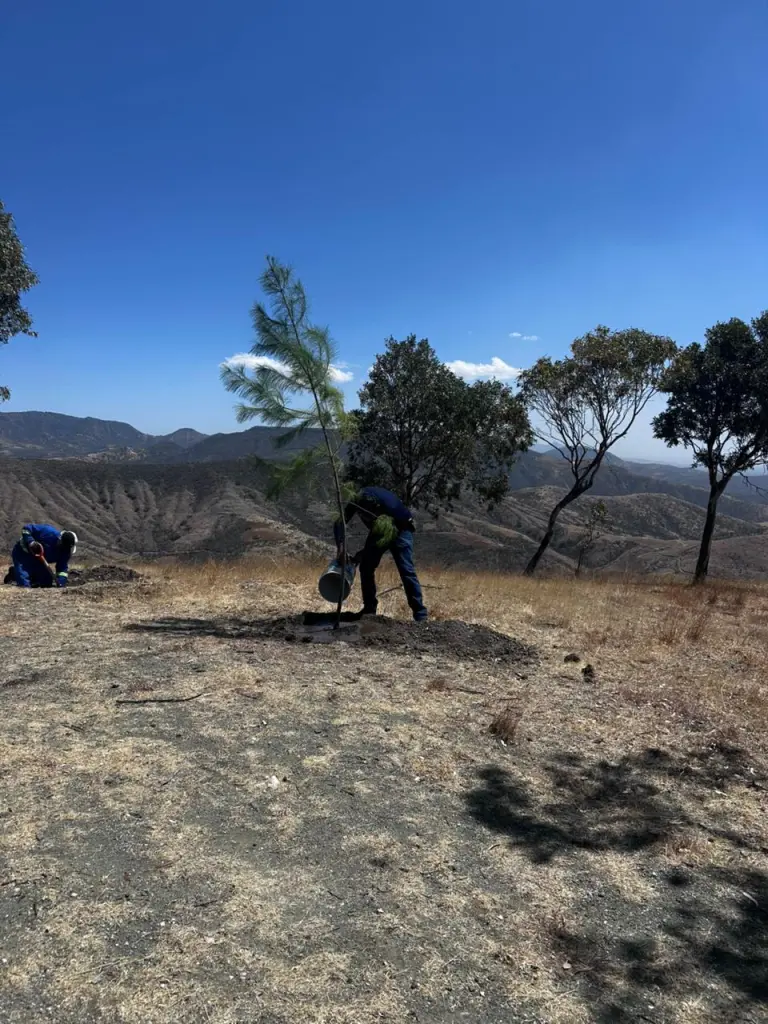 VIVERO MUNICIPAL DE LEÓN IMPULSA REFORESTACIÓN Y CONCIENCIA AMBIENTAL
