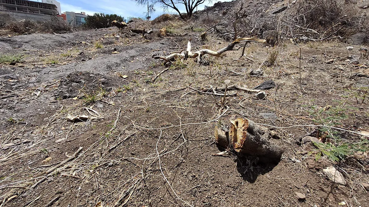 SANCIONAN A EMPRESA POR DAÑO AMBIENTAL EN GUANAJUATO