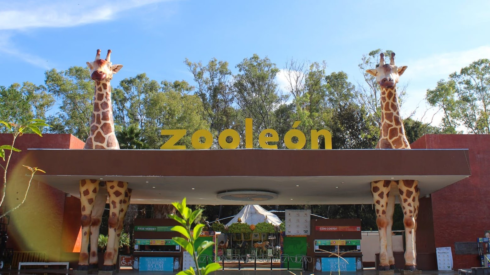 ZOOLÓGICO DE LEÓN REFUERZA SEGURIDAD Y PROTOCOLOS ANTE POSIBLES ESCAPES DE ANIMALES