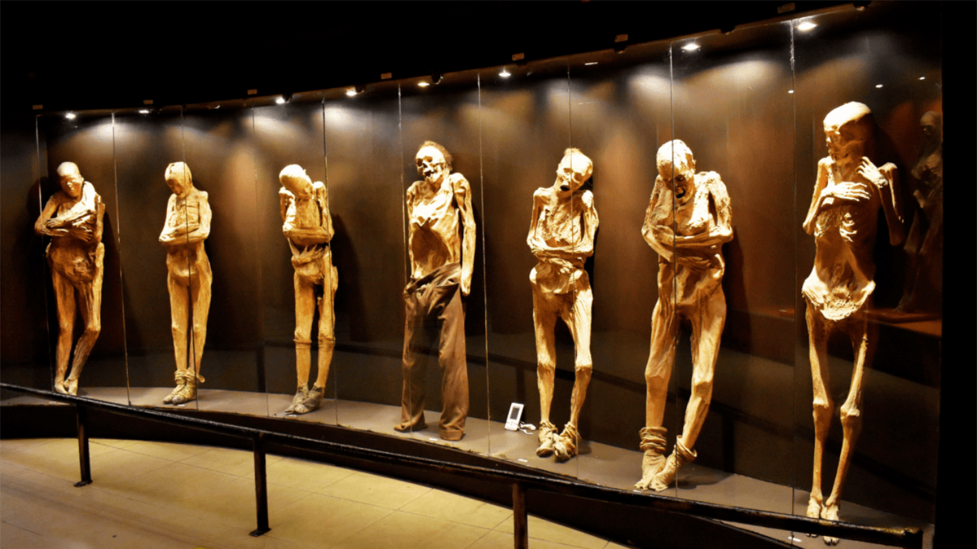 MOMIAS DE GUANAJUATO SERÁN DIGITALIZADAS EN 3D PARA SU PRESERVACIÓN CIENTÍFICA